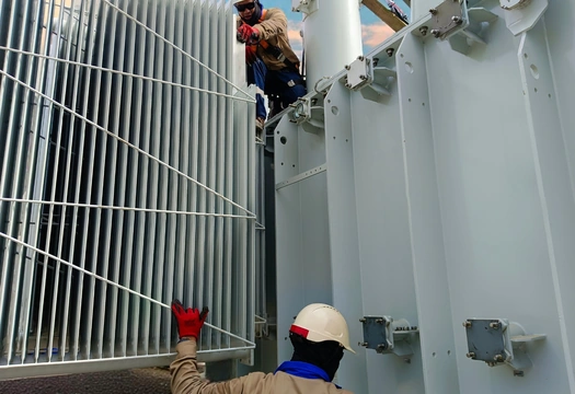 Servicios Especializados